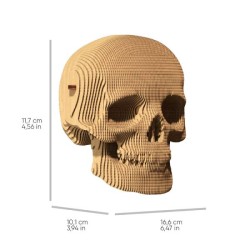 CARTONIC® - Modèle Crâne
