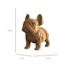 CARTONIC® - Modèle Chiot Bulldog