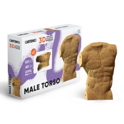 Cartonic statue torse masculin