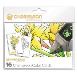 CARTES COLORIAGE CHAMELEON PENS - THÈME FLEURS