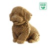 CARTONIC® - Modèle Chien Maltipoo