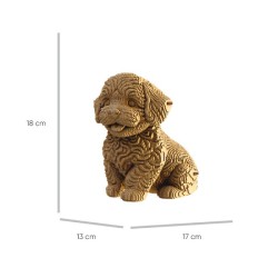 CARTONIC® - Modèle Chien Maltipoo