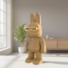 CARTONIC® - Modèle Arty Bunny