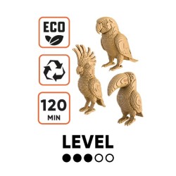 CARTONIC® - Modèle Trio Oiseaux tropicaux