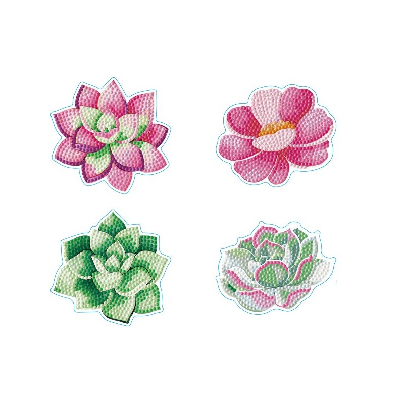 4 sous-verres Diamond Dotz motifs succulentes