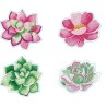 4 sous-verres Diamond Dotz motifs succulentes