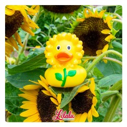 LILALU tournesol