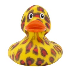 LILALU comme un chat sauvage