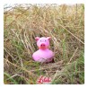 LILALU® Canard Cochon