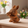 CARTONIC® - Modèle Lapinou