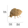 copy of CARTONIC® - Modèle Chaton endormi