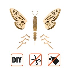 CARTONIC® - Modèle Papillon