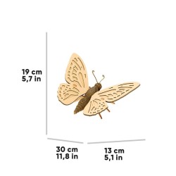 CARTONIC® - Modèle Papillon