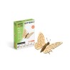 Cartonic Papillon