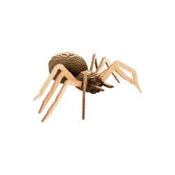 CARTONIC® - Modèle Araignée