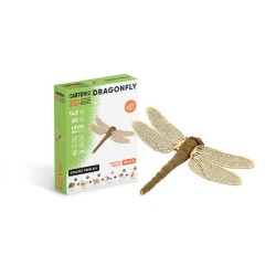 copy of CARTONIC® - Modèle...