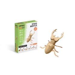 copy of CARTONIC® - Modèle...