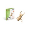 copy of CARTONIC® - Modèle Chaton endormi