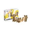 Cartonic Trio corgis