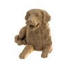 copy of CARTONIC® - Modèle Chien Maltipoo
