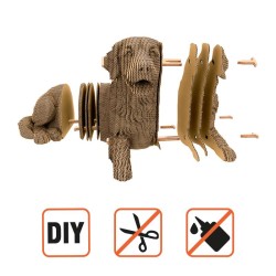 CARTONIC® - Modèle Chien Golden Retriever