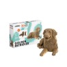 Cartonic Golden retriever