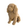 copy of CARTONIC® - Modèle Chien Maltipoo
