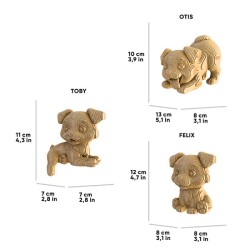 CARTONIC® - Modèle Trio Chiots heureux