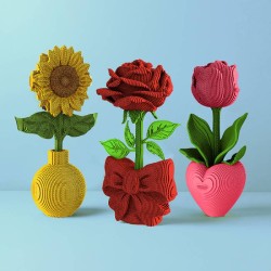 CARTONIC® - Modèle Tournesol