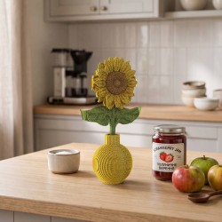 CARTONIC® - Modèle Tournesol