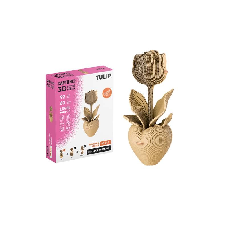 Modèle tulipe Cartonic®