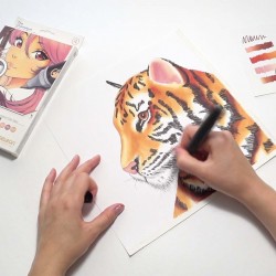 OFFRE SPECIALE CHAMELEON - 10 PACKS Color & Blending System