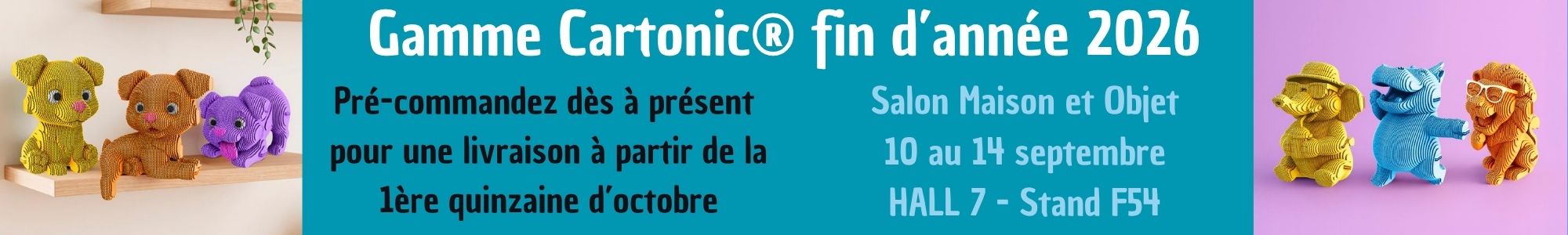 cartonic fin d'année